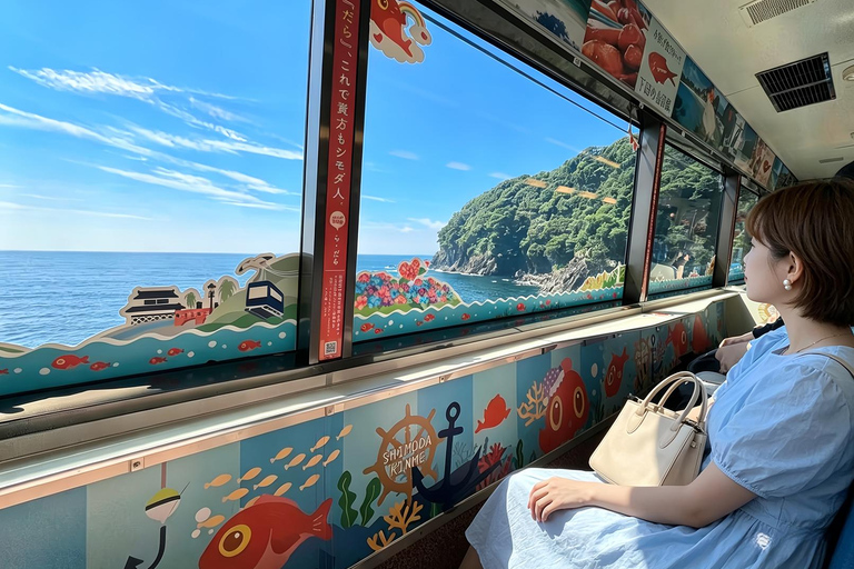 Small Group Day Tour:Omuro Mountain & the Izu Scenic Railway Hotel Transfer Option