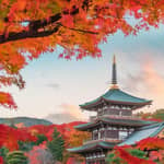 Tour privato di Nikko con guida in inglese (personalizzabile)