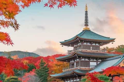 Preparati all'Inverno: 5 Essential per Creare il Tuo Santuario di Riposo Autunnale!