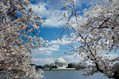 PRIVATE TOUR Washington DC: Private Tour with Luxury SUV 6h