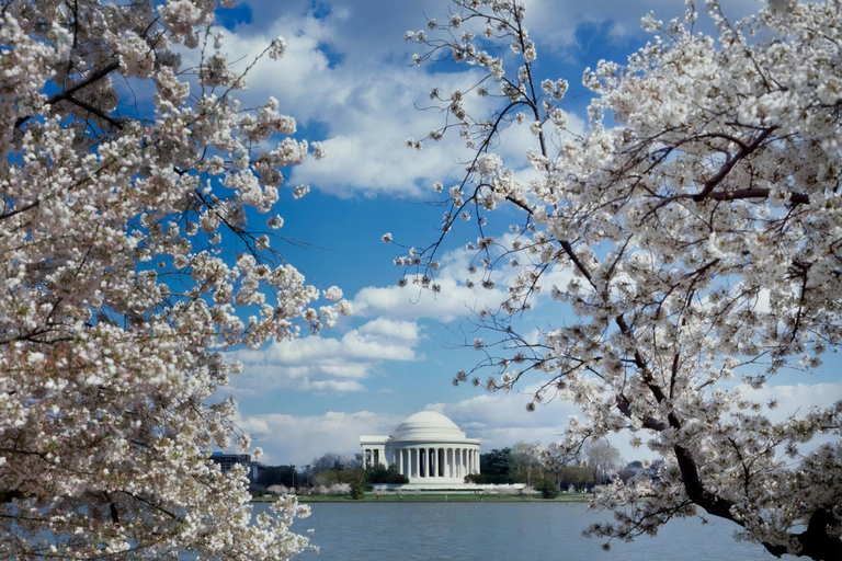 PRIVATE TOUR Washington DC: Private Tour with Luxury SUV 4h