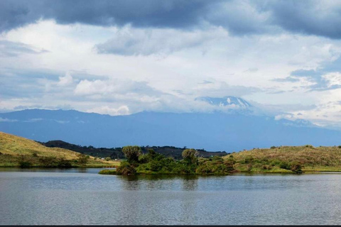 Addis Abeba: 4-dniowe safari w Parku Narodowym Chebera Churchura