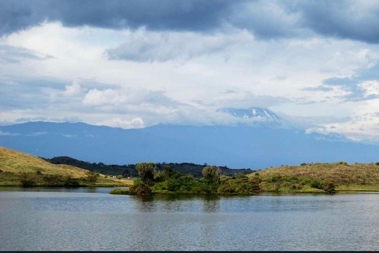 Addis Abeba: 4-dniowe safari w Parku Narodowym Chebera Churchura