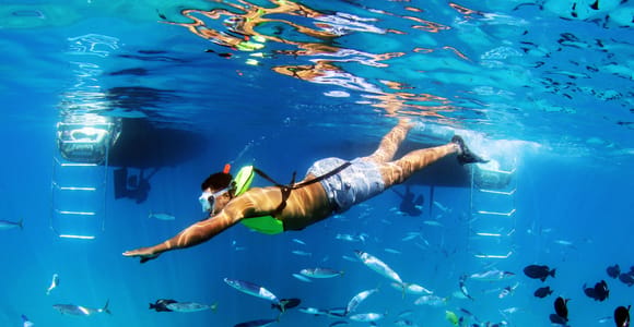 Oahu: 3 Ziplines & All-Inclusive Dolphin Watch Snorkel Cruise