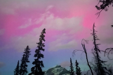 Banff Night Sky: Northern Lights and/or Stargazing Tour