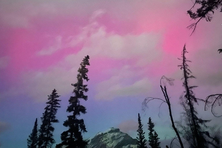 Banff Night Sky: Northern Lights and/or Stargazing Tour