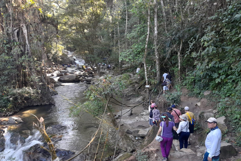 Medellin: River Tubing and BBQ Day Trip with Hotel Pickup