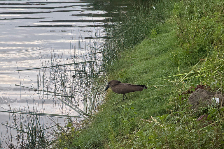 Addis Abeba: 17-dniowa wycieczka po górach Bale i dolinie Omo