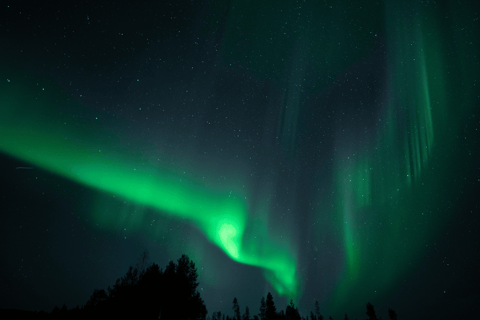 Wilderness Adventure by Snowmobile Sleigh