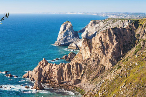 Z CapeTown: całodniowa wycieczka na Przylądek Dobrej Nadziei i Cape Point