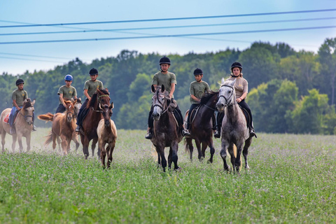 French Riviera: Private Scenic Col de Vence Horseback Ride French Riviera: Panoramic Col de Vence Horseback Ride