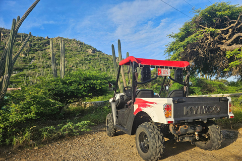 Poranna wycieczka UTV po wyspie Aruba.