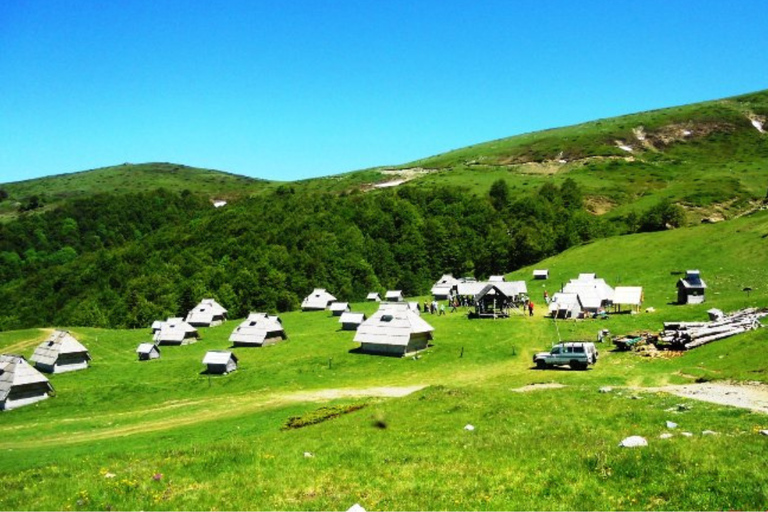 Bjelasica dla smakoszy i miłośników przyrody: lunch w cenie