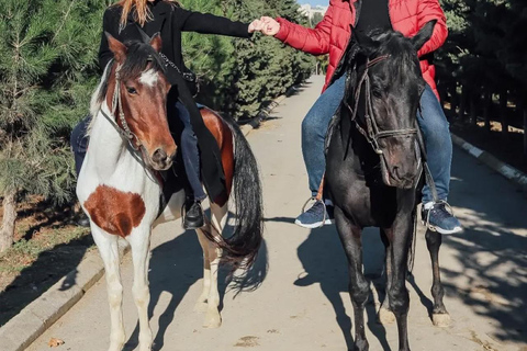 巴库骑马体验：邂逅世界名驹标准套餐