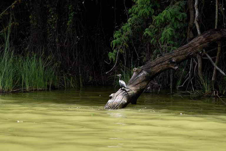 Duluti-See: Kanufahren, Naturwanderung und ExtraKajakfahren, Spaziergang in der Natur und Töpferkurs