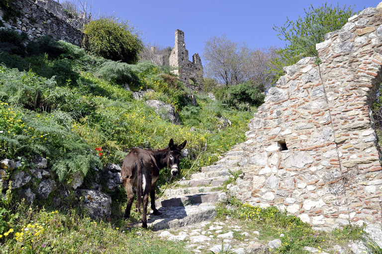 Mystras kasteelstad, Sparta, Olijf Museum Privé Dagtour