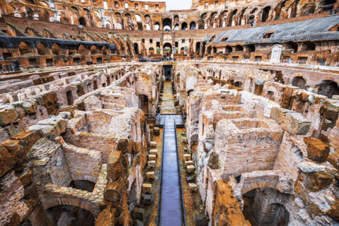 Rome: Colosseum, Roman Forum & Palatine Access