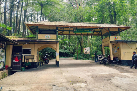 From Jakarta: Gunung Salak Waterfall & Rice Terrace