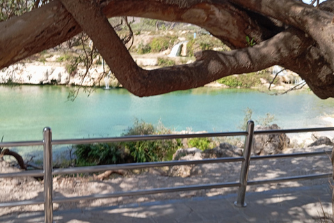 Dhofar: Salalah City and East Salalah Private Tour