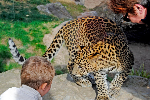 Valencia: Toegangsticket Bioparc Valencia