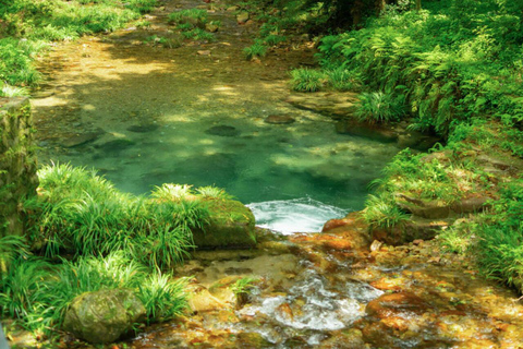 Zhangjiajie Avatar & Tianmen Day Trip Beat Heat & Crowds