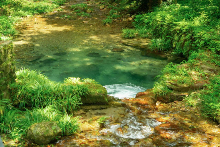 Zhangjiajie Avatar & Tianmen Day Trip Beat Heat & Crowds