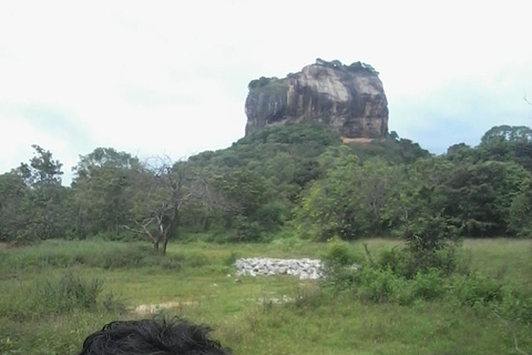 Da Kandy: Tour di un giorno in tuk tuk di Sigiriya e della roccia di Pidurangala