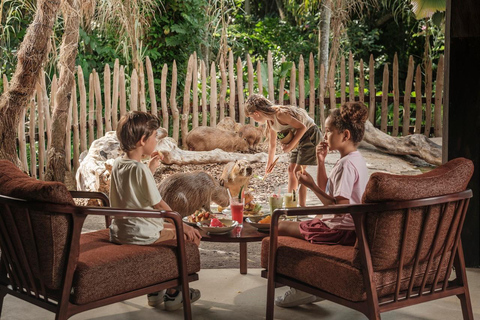 Bali Zoo: Capybara Brunch & Observation Experience Capybara Brunch Experience - Meet at Bali Zoo