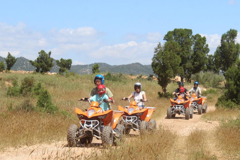 Hammamet: Camel Ride, Lunch, and Quad Biking Tour