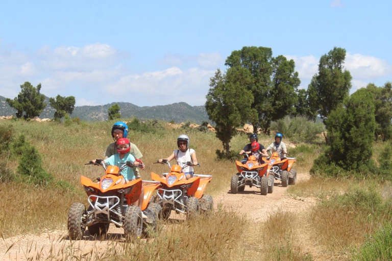 Hammamet: Camel Ride, Lunch, and Quad Biking Tour