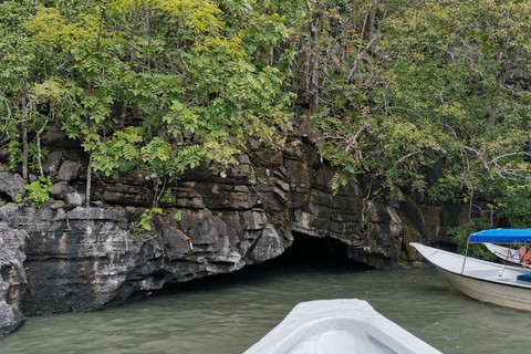 Signature Mangrove Discovery Boat Tour - 4 hours (Shared)