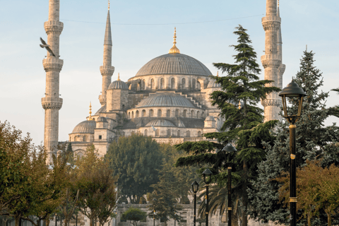 Istanbul Discovery: 3 Nights Hotel Stay & Private Tour Istanbul 3-Night Private Tour & Bosphorus Dinner Cruise