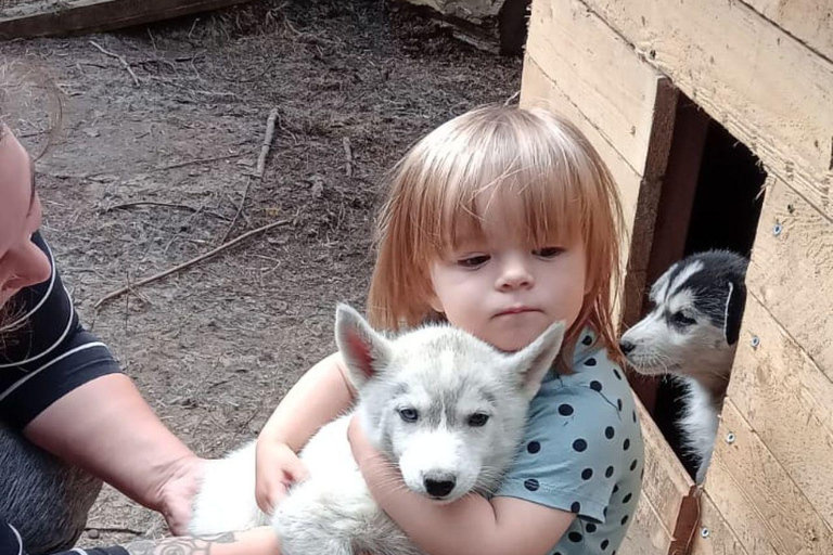 Kittilä / Levi: Husky Farm Guided Tour