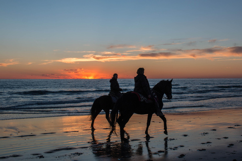 Bali: Ubud Gorilla ATV Ride Adventure and Beach Horse Riding Tandem Atv Ride & Horse Riding with Round Transfer