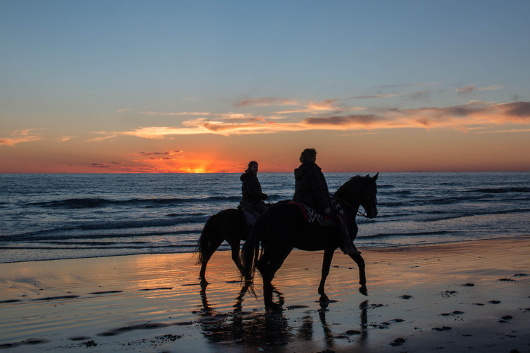 Bali: Ubud Gorilla ATV Ride Adventure and Beach Horse Riding Tandem Atv Ride & Horse Riding with Round Transfer