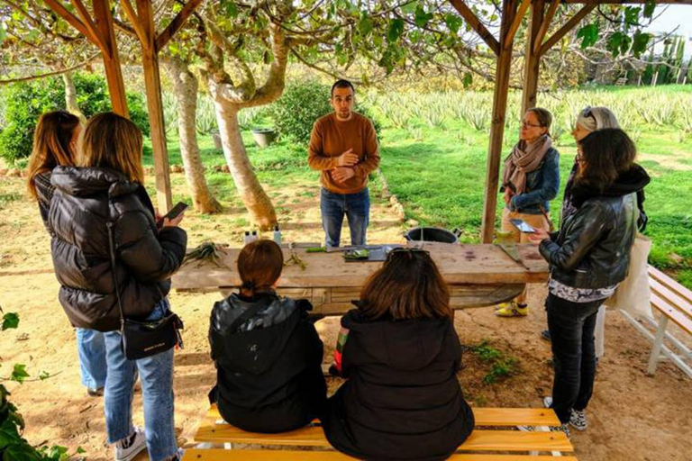 IBIZA : PRODUITS FABRIQUÉS À IBIZA (visite culinaire)