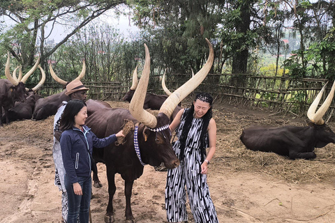 Kigali - Nyungwe: 2 Days Nyungwe Chimpanzee Trekking Tour