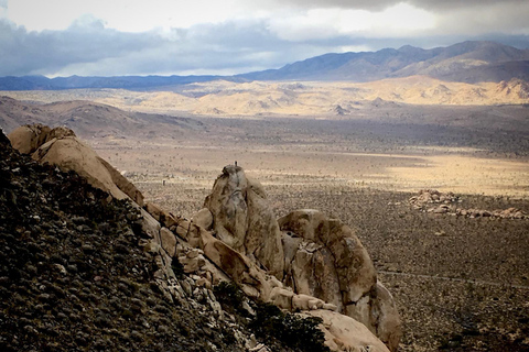 Von San Diego aus: 2-tägige Erkundung und Wanderung in Joshua Tree