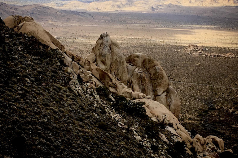 Von San Diego aus: 2-tägige Erkundung und Wanderung in Joshua Tree