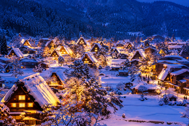 Nagoya: 2027 Winter Shirakawago Light-Up & Takayama Day Tour