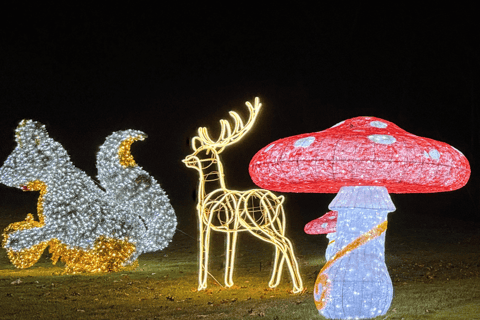 Derry, NH: LaBelle Lights Holiday Light Show Entry Ticket