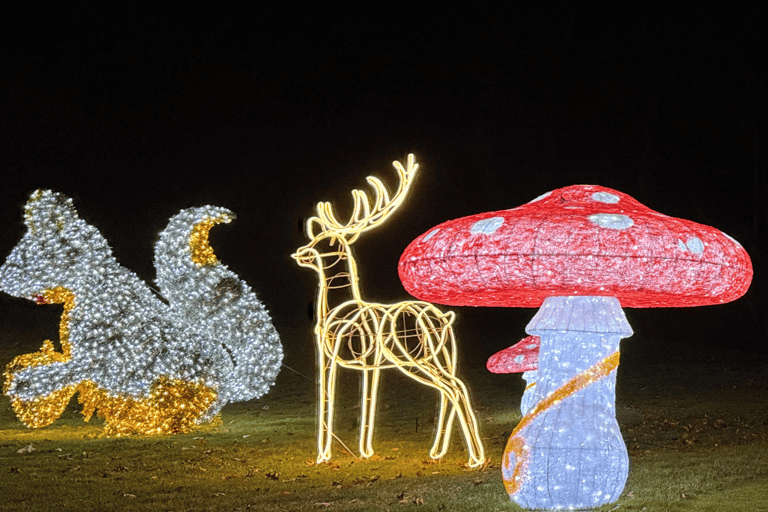 Derry, NH: LaBelle Lights Holiday Light Show Entry Ticket