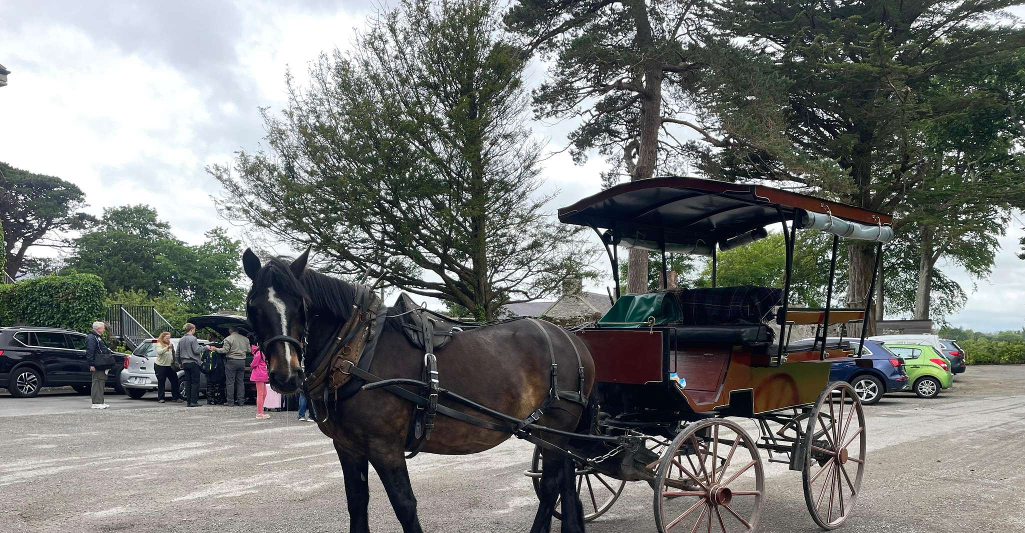 Killarney National Park Jaunting Car Tour - Housity