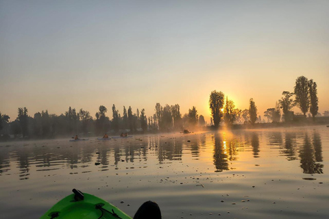 Xochimilco: Sunrise Kayaking, Breakfast and Axolotls Xochimilco: Sunrise Kayaking, Breakfast, and Axolotls