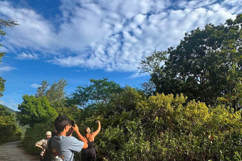 Son Tra Monkey Tours : Spot Red-Shanked Douc & Sightseeings Morning Trip by Driver also Forest Ranger
