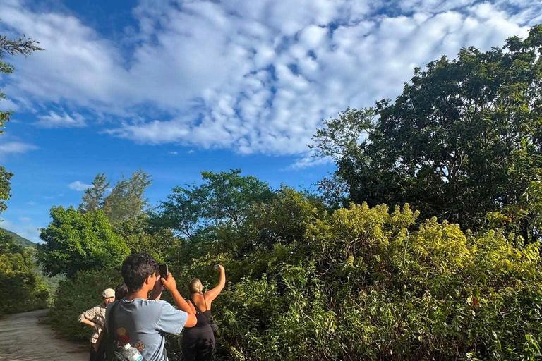 Son Tra Monkey Tours : Spot Red-Shanked Douc & Sightseeings Morning Trip by Driver also Forest Ranger