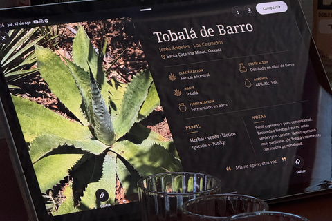 Downtown Oaxaca: Tasting of 10 mezcals and palenques