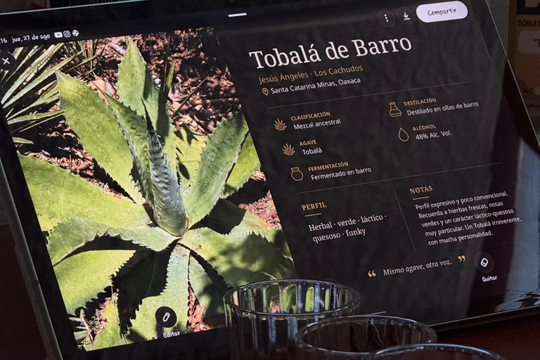 Downtown Oaxaca: Tasting of 10 mezcals and palenques