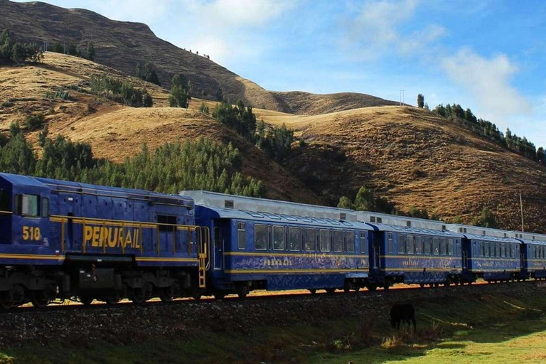 Train to Machu Picchu