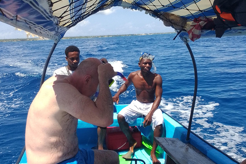 Delfiny i nurkowanie z rurką na Zanzibarze: wycieczka na wyspę MnembaDelfiny i snorkeling na Zanzibarze: wycieczka na wyspę Mnemba